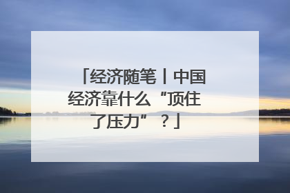 经济随笔丨中国经济靠什么“顶住了压力”？