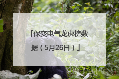 保变电气龙虎榜数据（5月26日）
