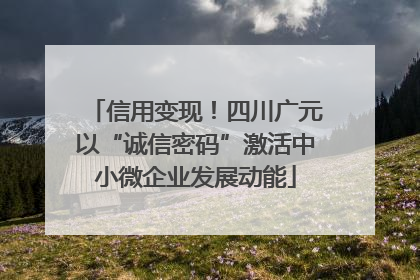 信用变现！四川广元以“诚信密码”激活中小微企业发展动能