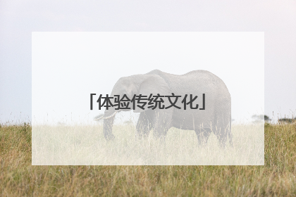 体验传统文化
