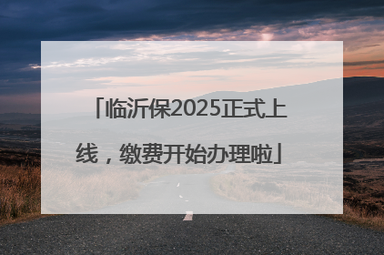 临沂保2025正式上线，缴费开始办理啦