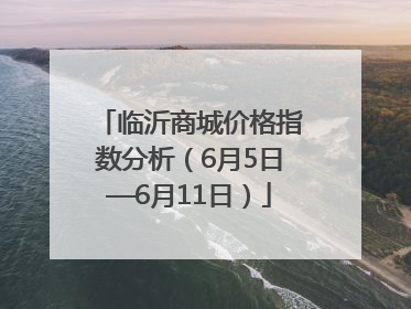 临沂商城价格指数分析（6月5日—6月11日）