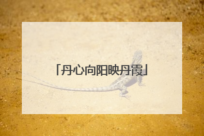丹心向阳映丹霞