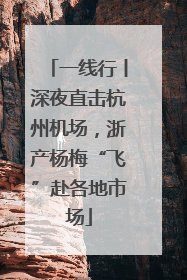 一线行丨深夜直击杭州机场，浙产杨梅“飞”赴各地市场