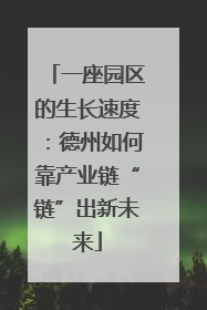 一座园区的生长速度：德州如何靠产业链“链”出新未来