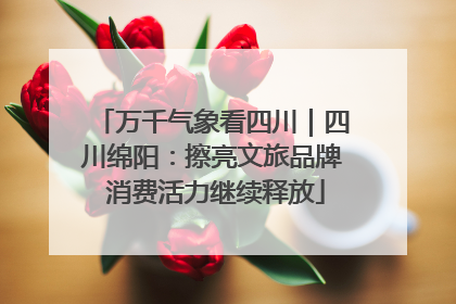 万千气象看四川｜四川绵阳：擦亮文旅品牌 消费活力继续释放