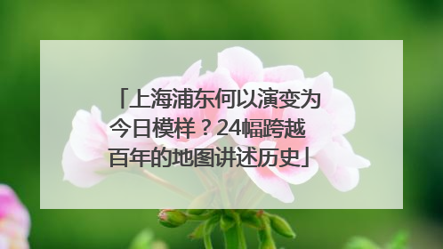 上海浦东何以演变为今日模样？24幅跨越百年的地图讲述历史