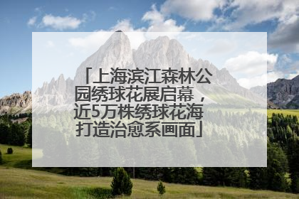 上海滨江森林公园绣球花展启幕，近5万株绣球花海打造治愈系画面