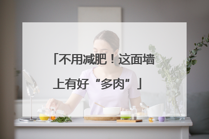 不用减肥！这面墙上有好“多肉”
