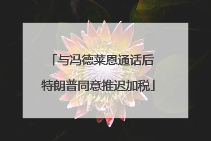 与冯德莱恩通话后 特朗普同意推迟加税