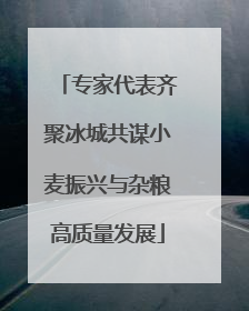 专家代表齐聚冰城共谋小麦振兴与杂粮高质量发展