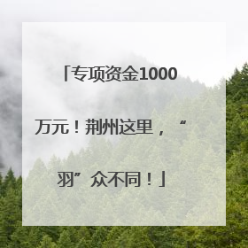专项资金1000万元！荆州这里，“羽”众不同！