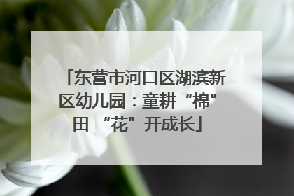 东营市河口区湖滨新区幼儿园：童耕“棉”田 “花”开成长