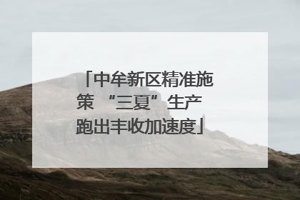 中牟新区精准施策 “三夏”生产跑出丰收加速度