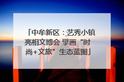 中牟新区：艺秀小镇亮相文博会 擘画“时尚+文旅”生态蓝图