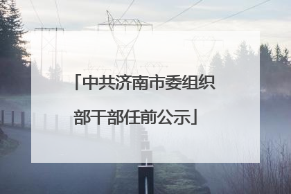 中共济南市委组织部干部任前公示
