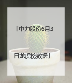 中力股份6月3日龙虎榜数据