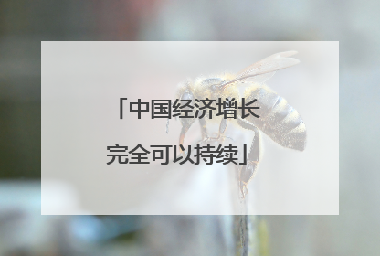 中国经济增长完全可以持续