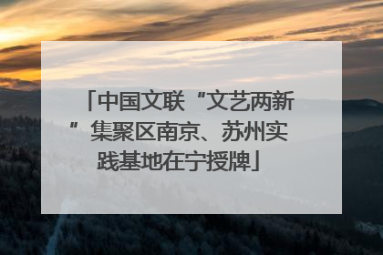 中国文联“文艺两新”集聚区南京、苏州实践基地在宁授牌