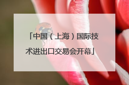 中国（上海）国际技术进出口交易会开幕
