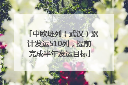 中欧班列（武汉）累计发运510列，提前完成半年发运目标