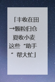 丰收在田→颗粒归仓 夏收小麦这些“助手”帮大忙