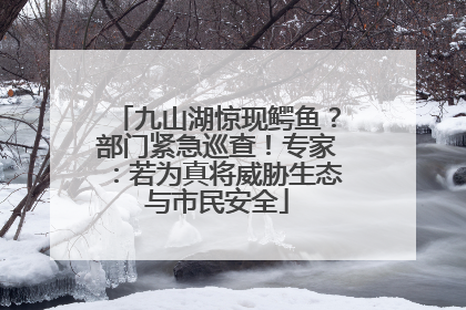 九山湖惊现鳄鱼？部门紧急巡查！专家：若为真将威胁生态与市民安全