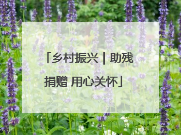 乡村振兴｜助残捐赠 用心关怀