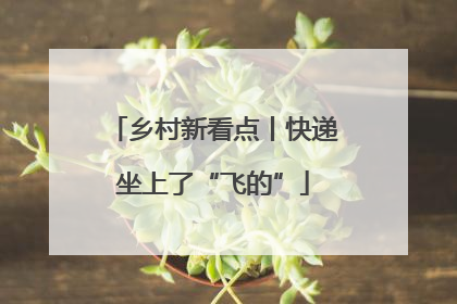 乡村新看点丨快递坐上了“飞的”