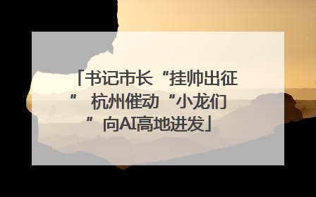 书记市长“挂帅出征” 杭州催动“小龙们”向AI高地进发