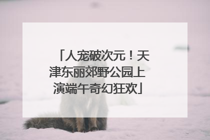 人宠破次元！天津东丽郊野公园上演端午奇幻狂欢