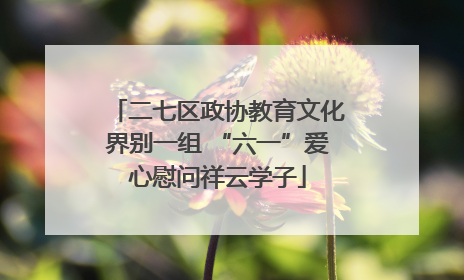 二七区政协教育文化界别一组 “六一”爱心慰问祥云学子