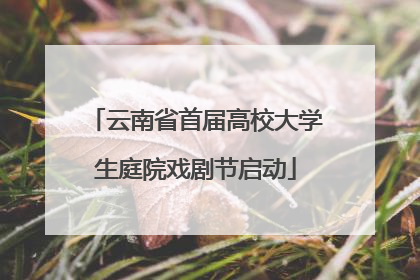 云南省首届高校大学生庭院戏剧节启动