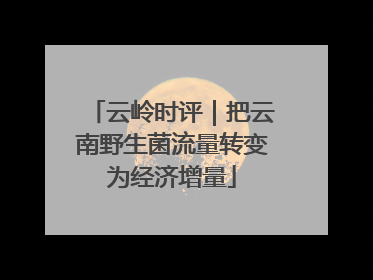 云岭时评｜把云南野生菌流量转变为经济增量