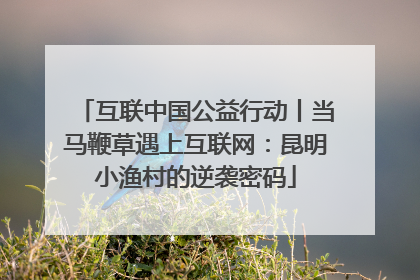 互联中国公益行动丨当马鞭草遇上互联网：昆明小渔村的逆袭密码