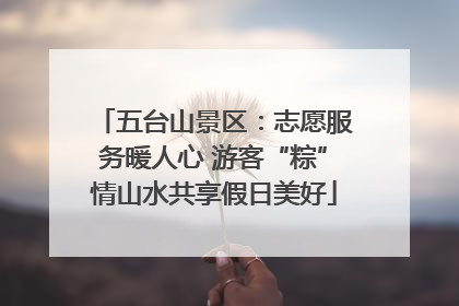 五台山景区：志愿服务暖人心 游客“粽”情山水共享假日美好