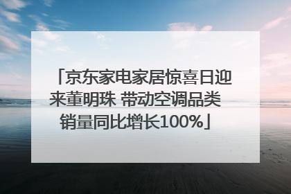 京东家电家居惊喜日迎来董明珠 带动空调品类销量同比增长100%