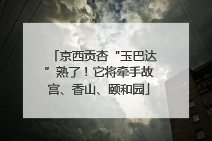 京西贡杏“玉巴达”熟了！它将牵手故宫、香山、颐和园