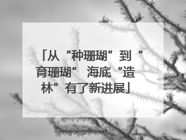 从“种珊瑚”到“育珊瑚” 海底“造林”有了新进展