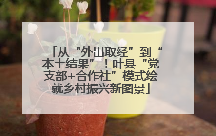 从“外出取经”到“本土结果”！叶县“党支部+合作社”模式绘就乡村振兴新图景