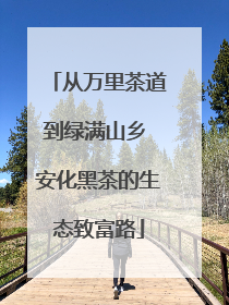 从万里茶道到绿满山乡 安化黑茶的生态致富路