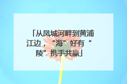 从凤城河畔到黄浦江边，“海”好有“陵”携手共赢