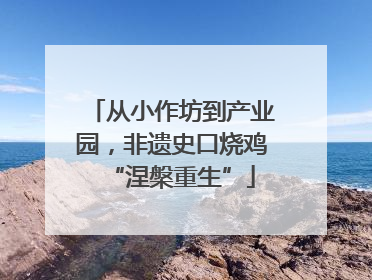 从小作坊到产业园，非遗史口烧鸡“涅槃重生”