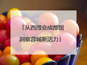 从西博会成都馆洞察蓉城新活力