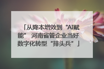 从降本增效到“AI赋能” 河南省管企业当好数字化转型“排头兵”