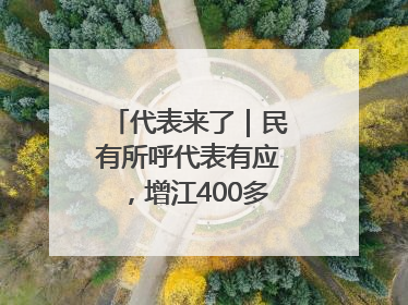 代表来了｜民有所呼代表有应，增江400多年古码头焕新