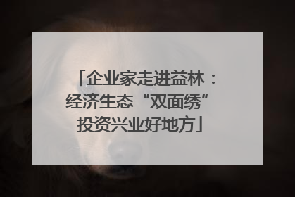 企业家走进益林：经济生态“双面绣” 投资兴业好地方