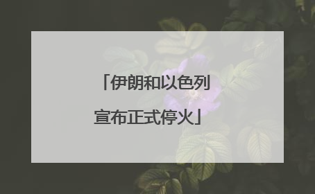 伊朗和以色列宣布正式停火