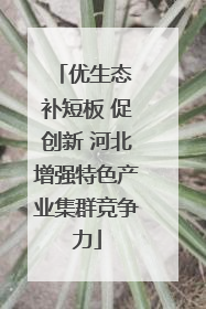 优生态 补短板 促创新 河北增强特色产业集群竞争力