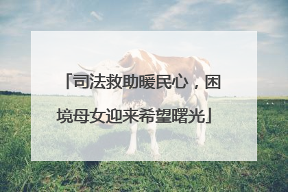 司法救助暖民心，困境母女迎来希望曙光